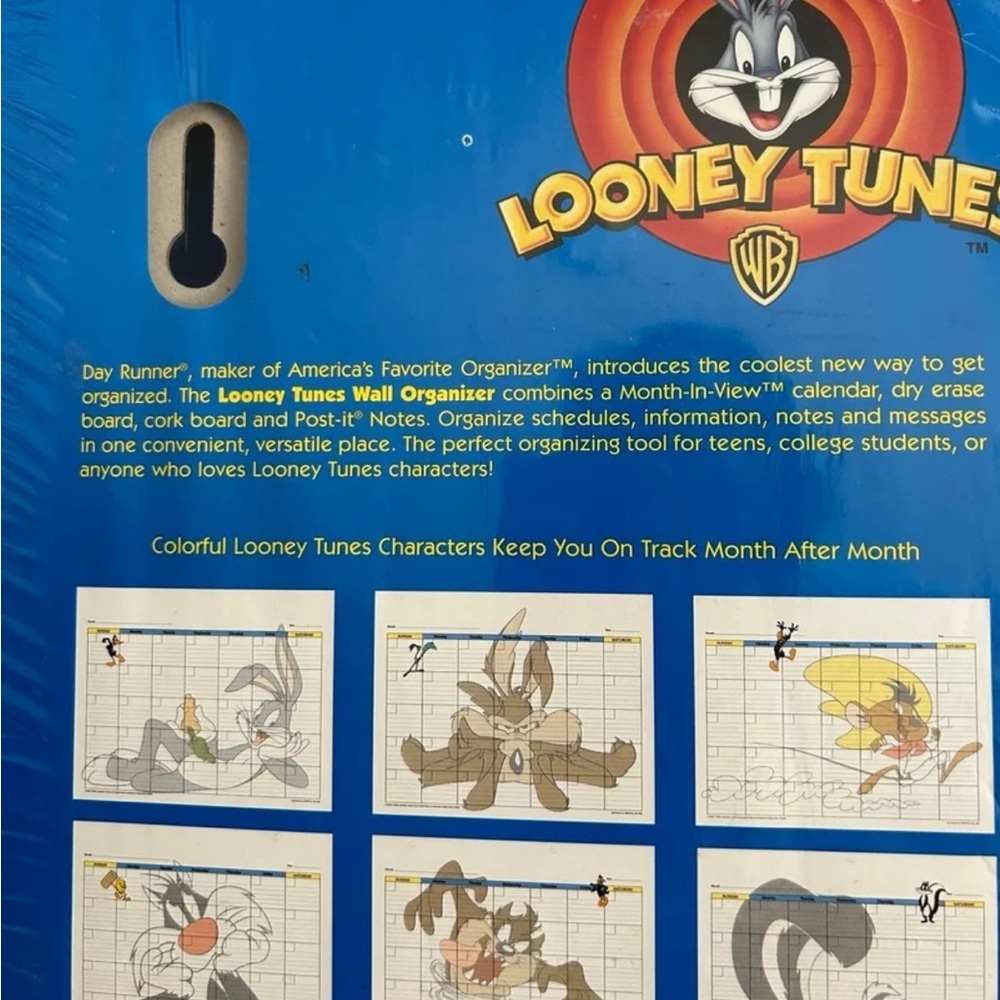 Vintage/ Retro Looney Tunes Wall Organizer - Picture 4 of 10